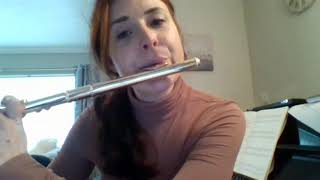 Quick Introduction to Flute Tone