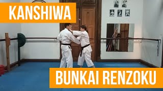 Kanshiwa Bunkai Renzoku