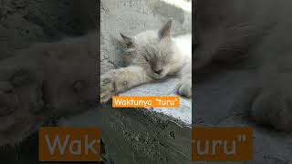 "turu"