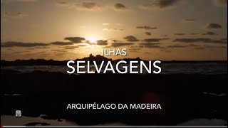 Ilhas Selvagens - Arquipélago da Madeira