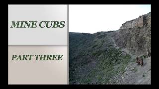 Mine Cubs part three