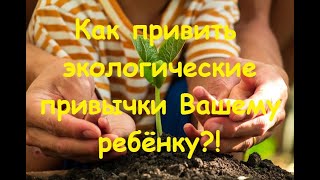 Экология для детей. Как привить эко-привычки своему ребёнку?!