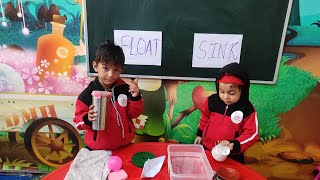 Float and Sink Activity | Kindergarten learning videos | Science concept for Kindergarten