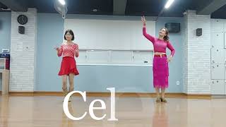 Celeb Line Dance (Beginner Level) Music: Celeb - PSY(싸이) 싸다9