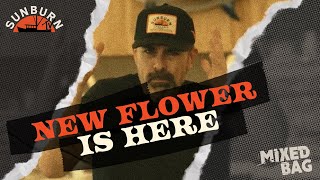 New Flower is here | Mixed Bag