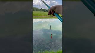 Catching fish in seconds! ⁠  #fishing #рибалка #music #nature #beach #carpfishing