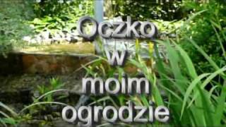 Oczko wodne