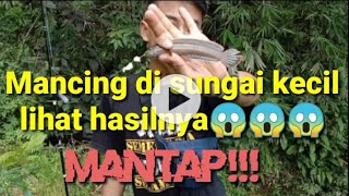 Mancing di sungai kecil ,hasilnya mantulll!!!!!!!