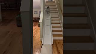 Stair Slide