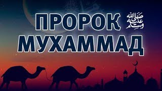 Пророк Мухаммад ﷺ Любимец Всевышнего 5