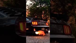 Ford Mustang Crazy Exhaust Sound and Back Fire 🔥😍/Supercars in India #supercars #mustang #shorts