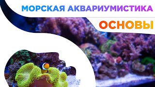 Основы морской аквариумистики