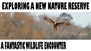 EXPLORING A NEW NATURE RESERVE-AN UNEXPECTED WILDLIFE ENCOUNTER