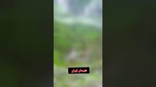 هورمان كردستان إيران #shorts