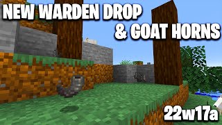 THE WARDEN'S DROP (Snapshot 22w17a The Wild Update)