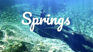 Springs in Florida (Blue Spring State Park & Wekiwa Springs)