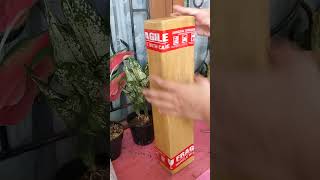 UNBOXING!!! Tanaman hias Aglonema