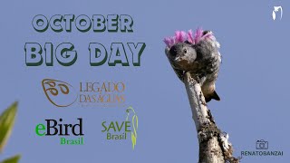 OCTOBER BIG DAY - LEGADO DAS ÁGUAS