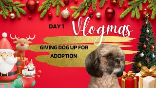 VLOGMAS 2022| DAY 1: PUTTING MY DOG UP FOR ADOPTION