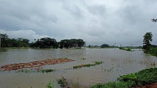 WATER LOGGING IN MY VILLAGE