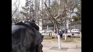 A special sculpture of child on horse in Hohhot Inner Mongolia