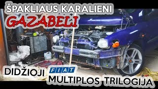 Didžioji multiplos trilogija ( III dalis )