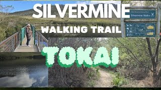 Silvermine Walk /Dam | Tokai | Cape Town | South Africa 🇿🇦