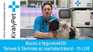 ✂️Búcsú a fegyverektől: Tények & Tévhitek az ivartalanításról - fb LIVE