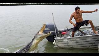 GIANT Crocodile vs Humano   Humano vs crocodile