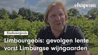 Limbourgeois: gevolgen lentevorst voor Limburgse wijngaarden