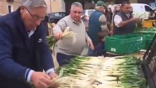 II Jornadas de la Cebolleta Consuegra 2016