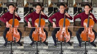 La Vie en Rose by Edith Piaf | Nathan Chan, cello