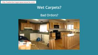 Wet Basement repair,wet Carpet,Lisle,IL (312) 646-4460 Emergency Services