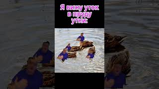 Pov: увидел уток в пруду  #mellstroy #on #rge #hype