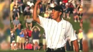 Tiger Woods Portrait Highlights