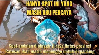 HERAN..!! AIRNYA SURUT DAN KERUH, TAPI IKAN MASIH MAU MAKAN. Spot terbaik mancing ikan tawes/Bader.