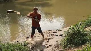 jala ikan selepas hujan Alhamdulillah dapat ikan banyak