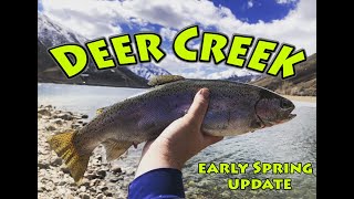 Deer Creek Early Spring Report