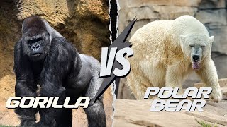 Gorilla vs Polar Bear - The DEADLIEST Animal Showdown on EARTH!