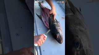 Chef cutting fish for cooking #fish #fishing #shortvideo