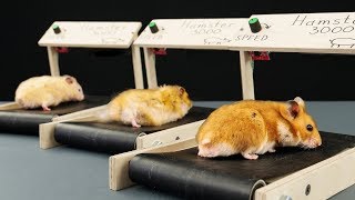 DIY Treadmill for Hamster