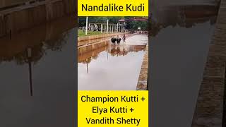 Nandalike Champion Kutti + Elya Kutti + Vandith Shetty🔥