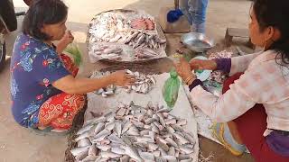 Market Activities! Market life, People buying and selling at the market