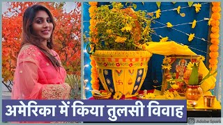 अमेरिका में किया तुलसी जी का विवाह | Tulsi Vivah in USA | Tulsi Vivah at Home | Tulsi Vivah Vlog