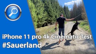 iPhone 11 pro 4k Cinematic Test Aufnahmen im Wald