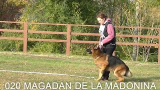 020 +++ MAGADAN DE LA MADONINA