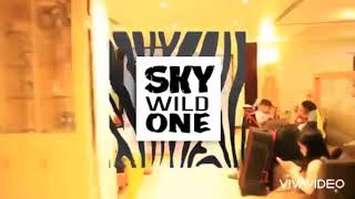 SAFARI WILD ONE THEME | SKY’S 1ST BIRTHDAY | @skylarklaudschannel7243