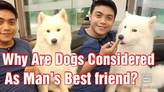 A man's Best friend || One friend by Dan Seals