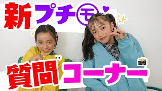 【質問】今年も新プチ㋲に質問してみたら超緊張でまさかの...【高梨 琴乃】【関屋 伊織】