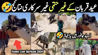 Most Dangerous Qurbani Bulls Animals On Eid Ul Azha 2024 In pakistan Part2  || Israr INFO Tv